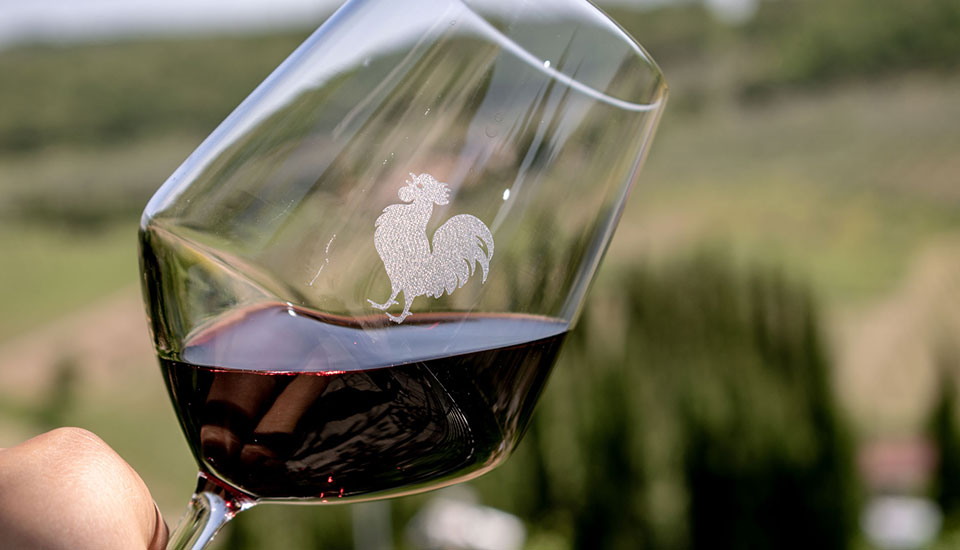 Chianti day tour from Florence 